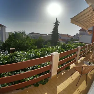 https://apartments-mima-zadar.hotelinzadar.com